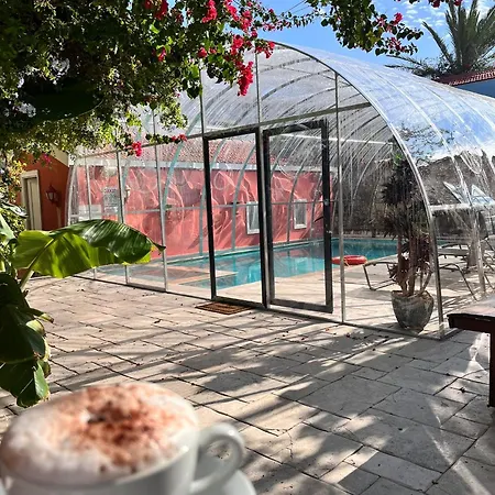 Marge Adult Only 12 Cesme